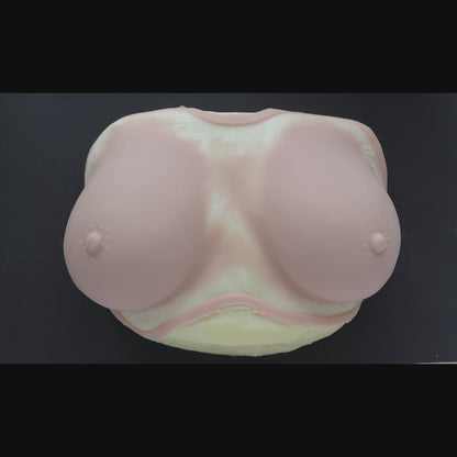 Breast Prosthetics