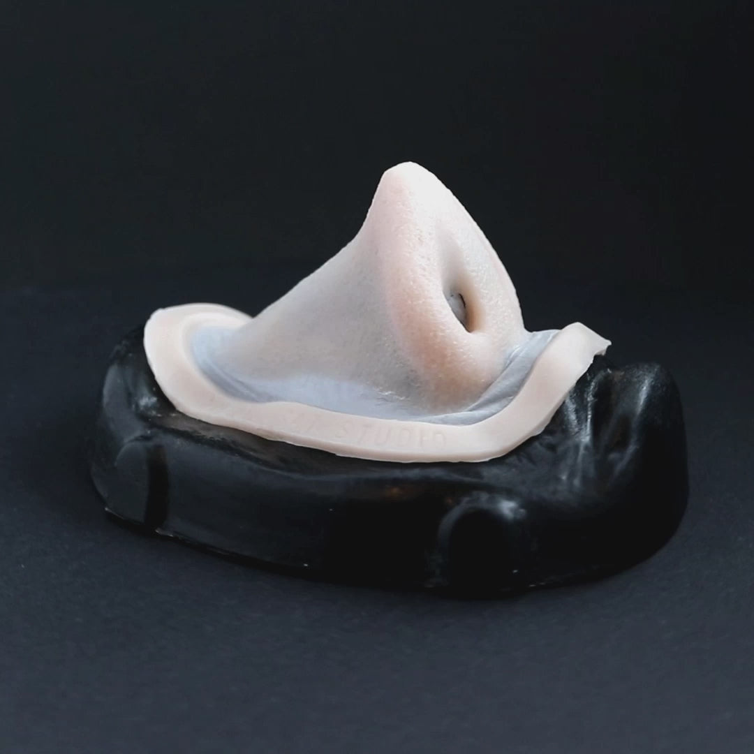 Piglet nose prosthetic in vanilla shade on a black turntable, slowly rotating. 