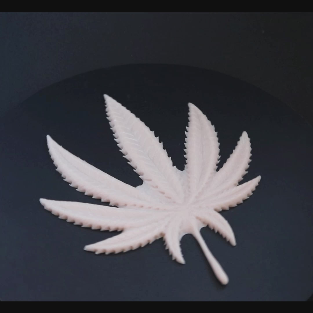 Cannabis Pastie in vanilla shade on a black turntable, slowly rotating. 