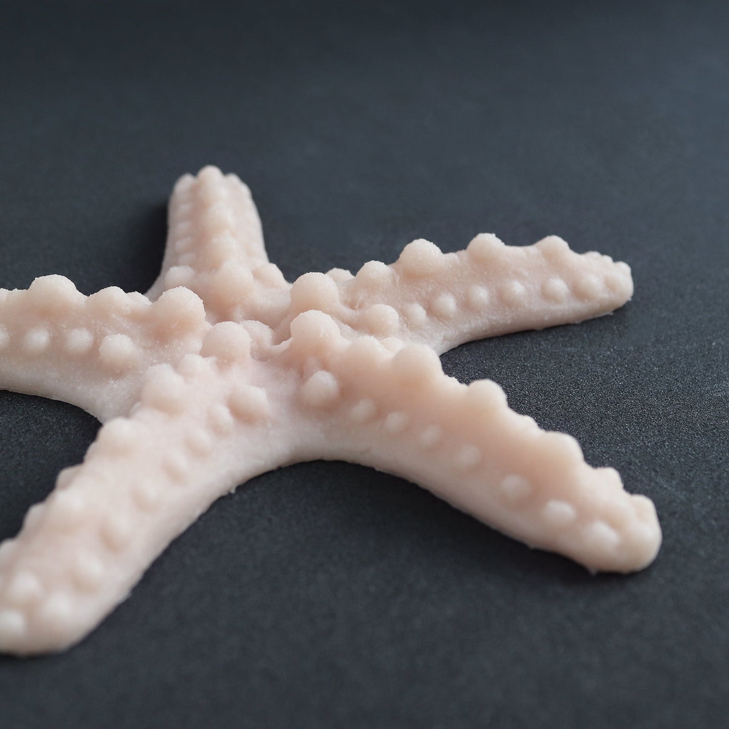 Closeup of a starfish in vanilla shade at an angle on a black surface