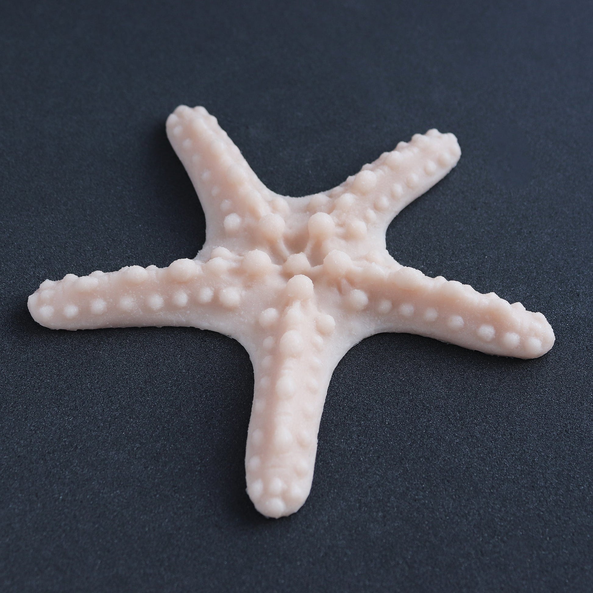 A starfish in vanilla shade at an angle on a black surface
