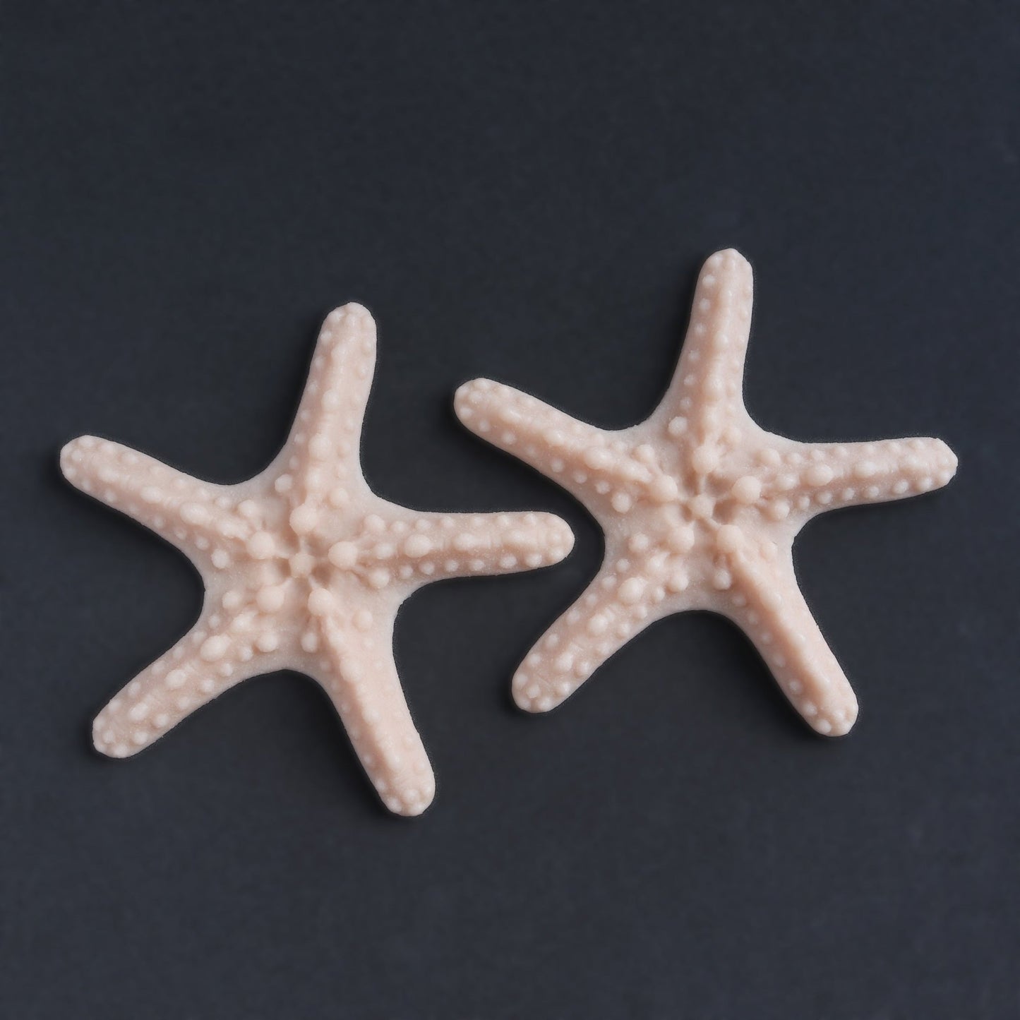 Two starfish in vanilla shade on a black surface