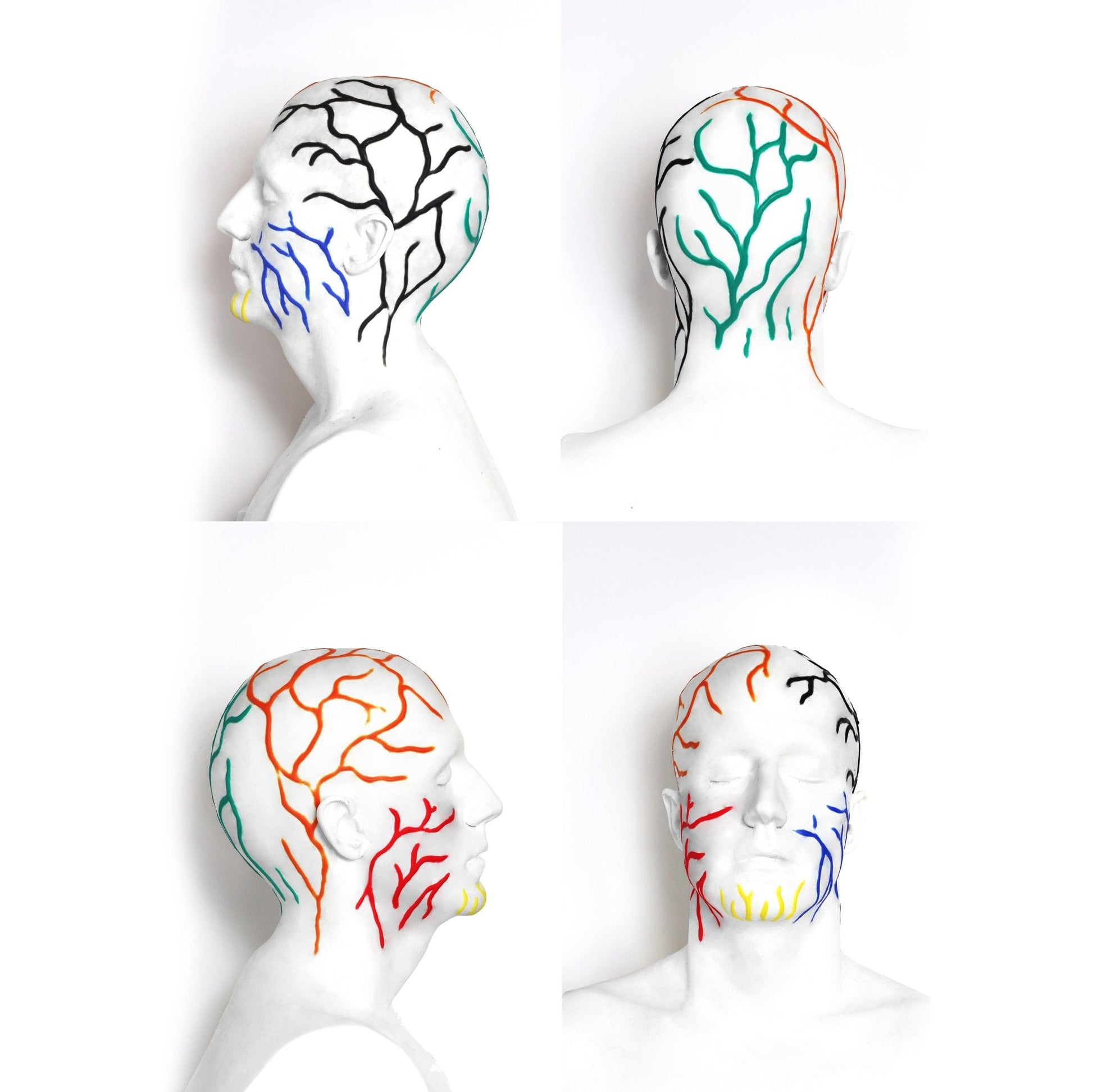 Mannequin head wearing veins prosthetic in different colours